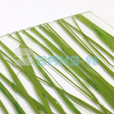Органични