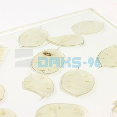 Органични